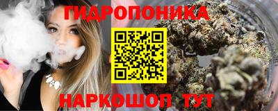 гидра Заводоуковск