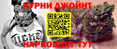 гидра Заводоуковск
