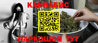 гидра Заводоуковск