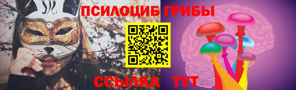 Таганрог  Галлюциногенные грибы Magic Shrooms  Галлюциногенные грибы Magic Shrooms  Вход с VPN 