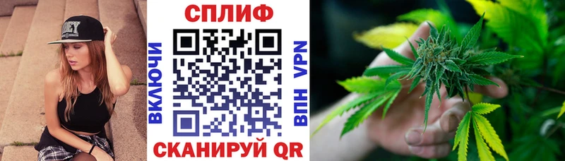 Конопля OG Kush  Таганрог 