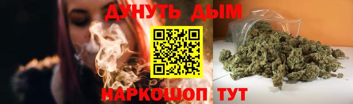 Таганрог  МАРИХУАНА планчик  Марихуана сатива  Вход с VPN 
